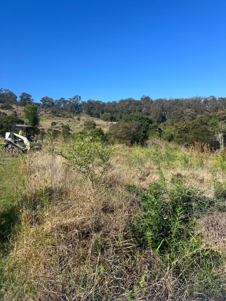 Experts in Land Clearing Services